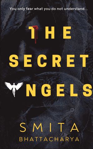 The Secret Angels (Darya Nandkarni's Misadventures Book 2)
