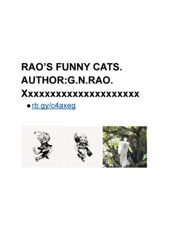 RAO'S FUNNY CATS