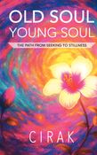 Old Soul Young Soul