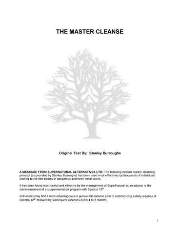 The Master Cleanse by Stanley Burroughs