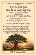 Śrīmad Bhagavad Gītā (Telugu): A Practical Path for Life Volume 1 — Fundamental Principles (Introductory Stage)