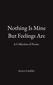 Nothing Is Mine But Feelings Are