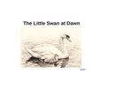 The Little Swan at Dawn