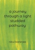 A journey through a light studded pathway