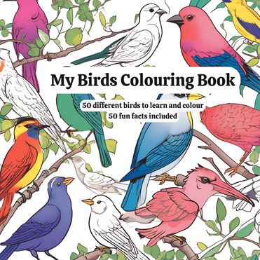 My Birds Colouring Book