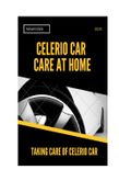 Celerio Car Care at Home