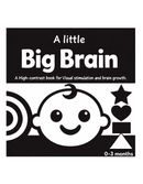 A Little Big Brain