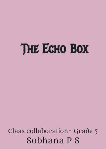 The Echo Box