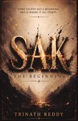 SAK The Beginning