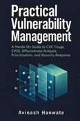 Practical Vulnerability Management