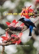 A Date With The Blue Bird