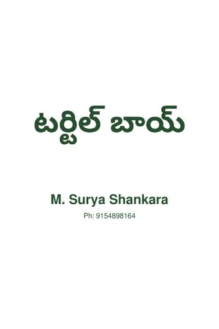 టర్టిల్ బాయ్ (Turtle Boy)