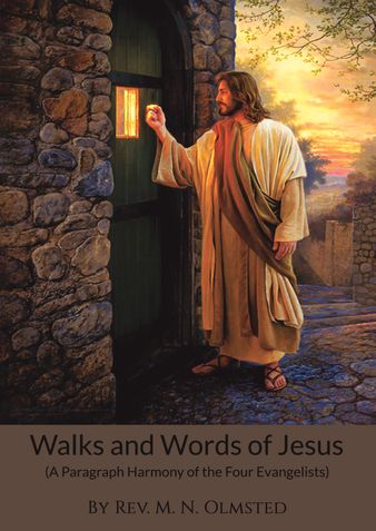 Walks and Words of Jesus