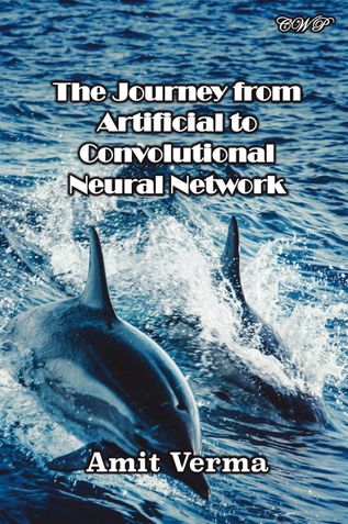 The Journey from Artificial to Convolutional Neural Network