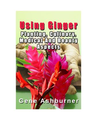 Using Ginger – Planting, Culinary, Medical And Beauty Aspects