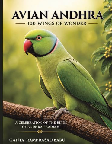 AVIAN ANDHRA