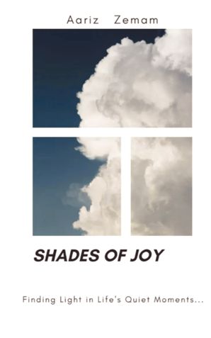 Shades of Joy: Finding Light in Life's Quiet Moments