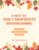 3 Minute Daily Snapshots Gratitude Journal