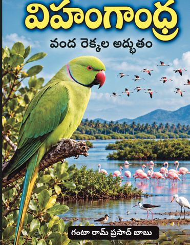 విహంగాంధ్ర - వంద రెక్కల అద్భుతం
