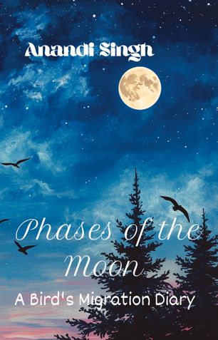 Phases of the Moon