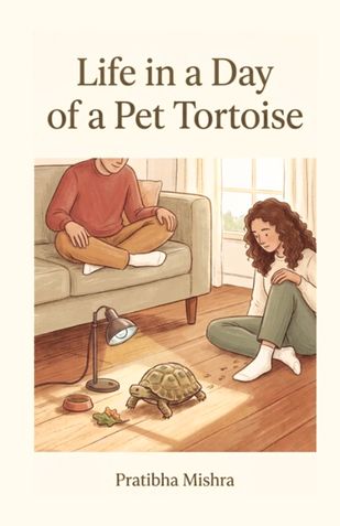 Life in a Day of a Pet Tortoise