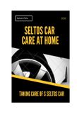 Seltos Car Care at Home