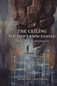 The Ceiling You Didn’t Know Existed