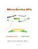 Micro Service APIs – Design by Test