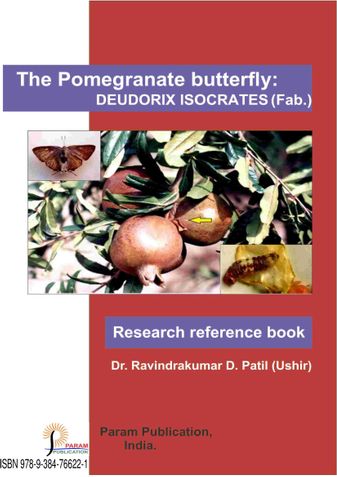 The Pomegranate Butterfly: Deudorix isocrates (feb.)