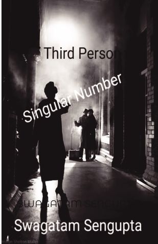 Third Person Singular Number