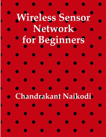 Wireless Sensor Network for Beginners