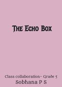 The Echo Box