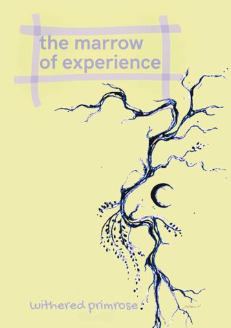 the marrow of experience