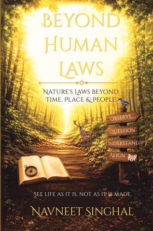 Beyond Human Laws