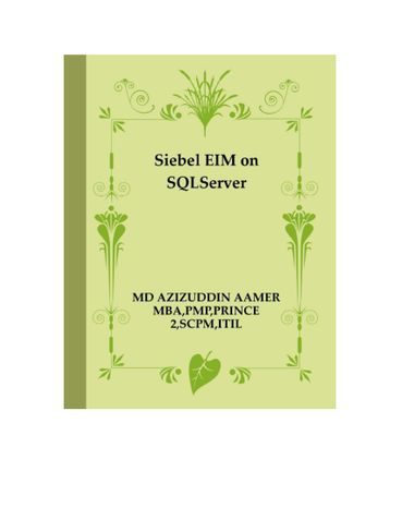 Siebel EIM on SQLServer