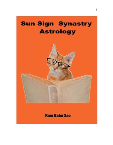 Sun Sign  Synastry Astrology